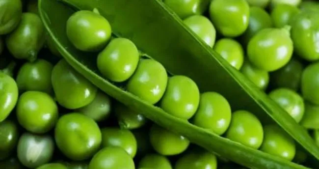 Bezelye yemeği nasıl yapılır? Bezelye yemeği tarifi - Bakliyat Yemekleri Haberleri