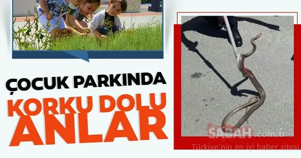 itfaiyeden cocuk parkinda yilan
