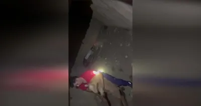 Boş su kuyusuna düşen keçi kurtarıldı