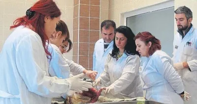 Keçileri virüs öldürmüş