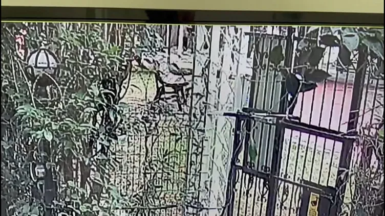 SON DAKİKA... İstanbul Esenyurt’ta vahşet! 16 yaşındaki Egemen 79 yaşındaki Mustafa Ergene’yi tek yumrukla öldürdü!