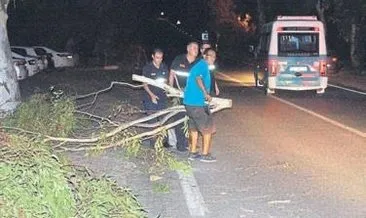 Foça’da şiddetli rüzgar etkili oldu