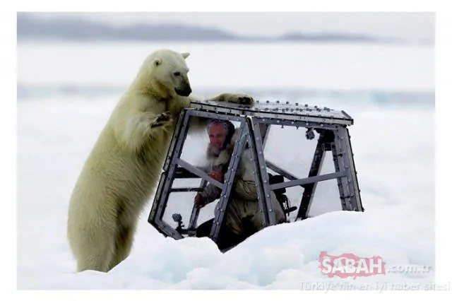 Şoke eden anlar! Belgesel çekiminde kutup ayısıyla karşı karşı geldi