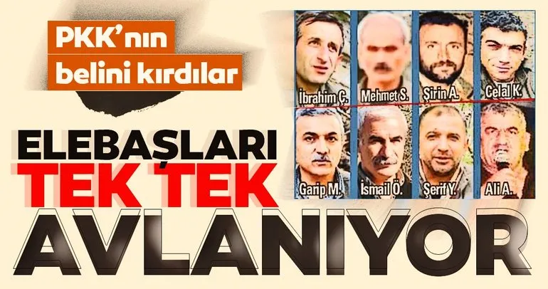 PKK’nın üst düzey isimlerine neşter