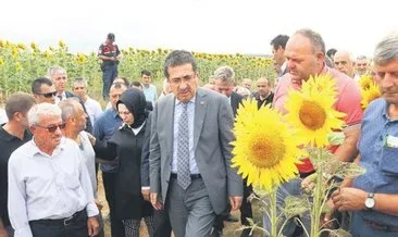 Çayır tırtılı sorunu bitti #edirne Çayır tırtılı sorunu bitti #edirne