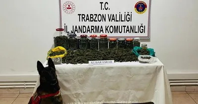 Hassas burun ’SAVLET’den kaçış yok #trabzon