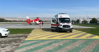 Hayvan otlatırken ayı saldırısına uğrayan çoban yaralandı #sivas