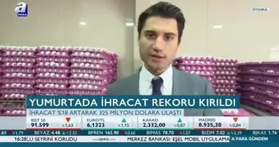 Yumurta ihracatı rekora koşuyor