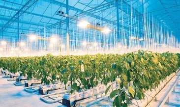 Avrupa’da şimdi de gıda krizi!