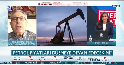 Şenay Yalçın: Petrol piyasasında şaşaalı dönemler artık yaşanmayacak | Video