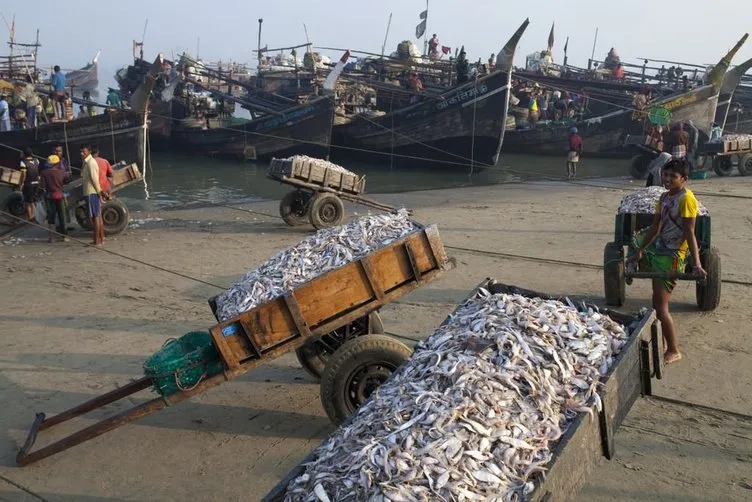 Bangladeş’te kurutulmuş balık köyü