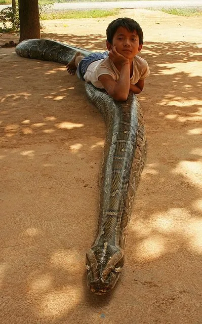 Şaşırtan fotoğraflar