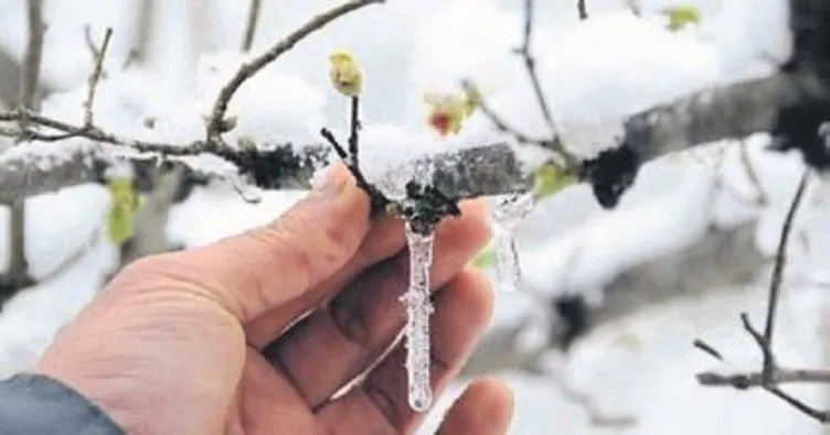 Antalya için zirai don uyarısı yapıldı