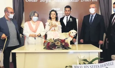Böyle olur hayvansever nikâhı