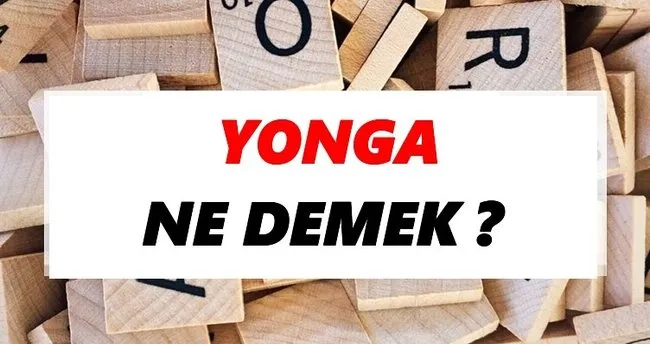 Yonga Ne Demek? TDK’ya Göre Yonga Sözlük Anlamı Nedir?