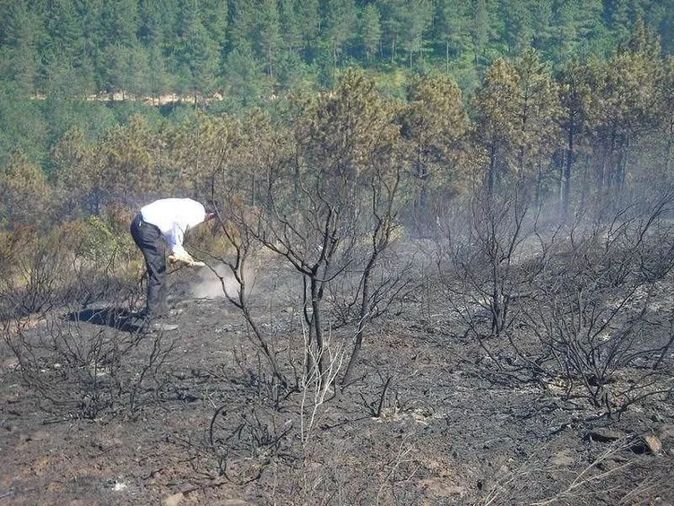 Sultanbeyli’de orman yangını