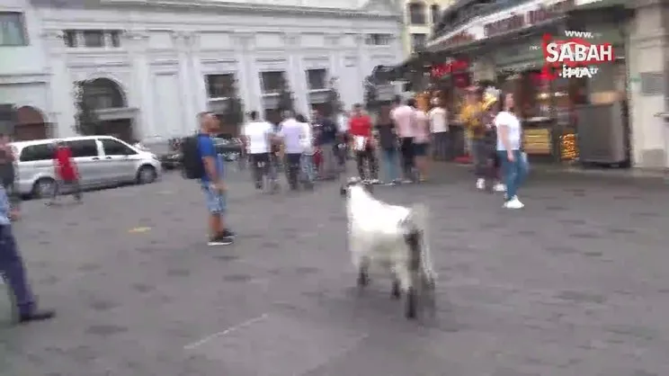 Keçisiyle Taksim'e çıktı, vatandaşların ilgi odağı oldu