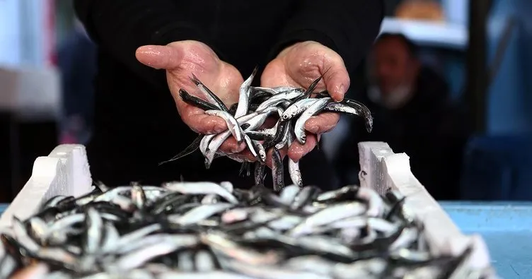 Karadeniz’deki avcılık yasağının fiyatlara yansıması bekleniyor