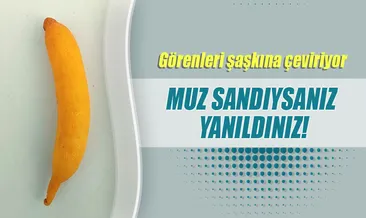 Muz sandıysanız yanıldınız!