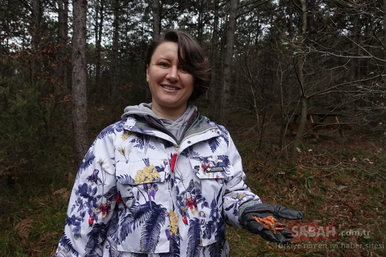 Çin’de binlerce yıldır geleneksel tıpta kullanılıyordu! Zombi mantarı ilk kez İstanbul’da görüldü