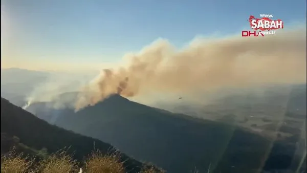 Muğla Ula'daki orman yangını kontrol altına alındı | Video