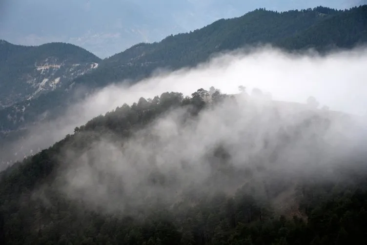 Zigana Dağı’nda sis ve gün batımı