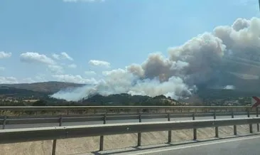 SON DAKİKA: ÇANAKKALE'DE ORMAN YANGINI! Alevlerle mücadele... Çanakkale yangınında son durum ne, boğaz kapatıldı mı? #canakkale