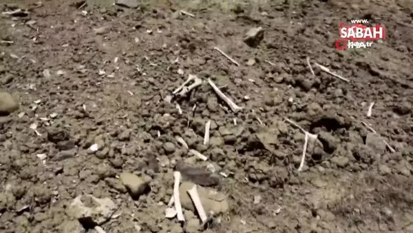 İçme suyu yolu mezarlık içinden geçince kemikler etrafa saçıldı | Video