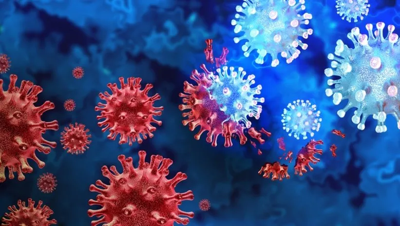 Koronavirüsten 20 kat ölümcül! DSÖ’yü alarma geçiren virüs
