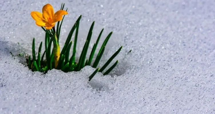 2026 Cemre Düşme Tarihleri: 2. Cemre ne zaman,...