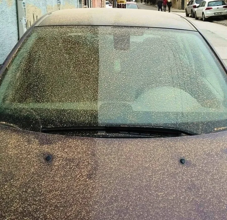 Hava Durumu Son dakika | Toz fırtınası bitti mi? Meteoroloji'den peş peşe yağış uyarısı geldi