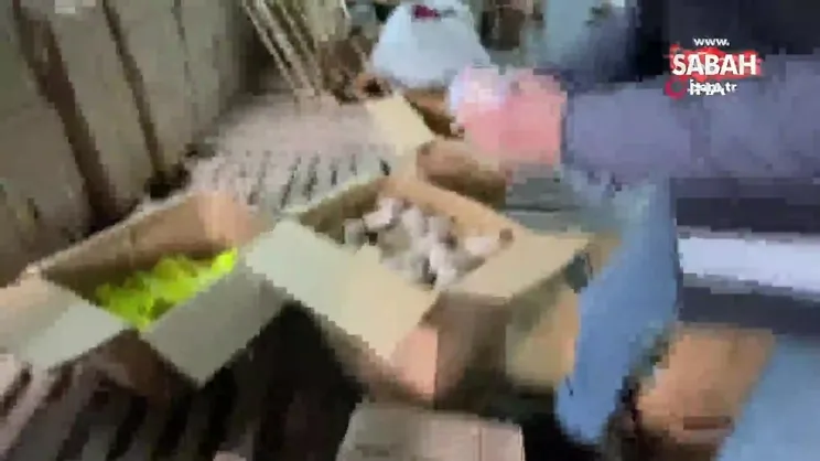 Adana'da kaçakçılık operasyonu | Video