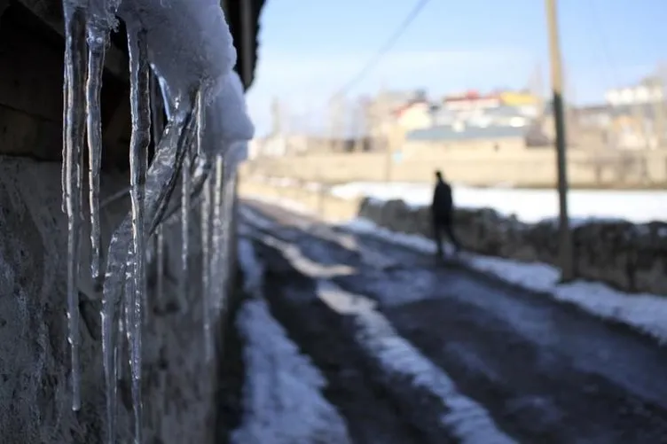 Sibirya soğuklarına halılı önlem