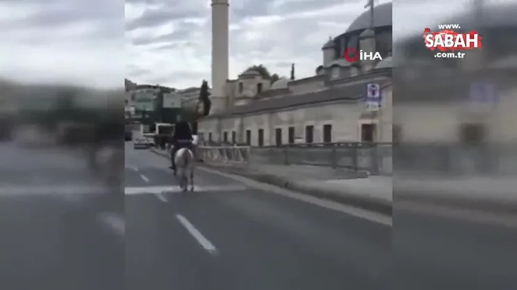 İstanbul'da inanılmaz görüntü: Atatürk Köprüsü'nden atla geçti | Video
