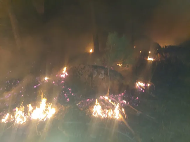 Muğla Orman Yangını