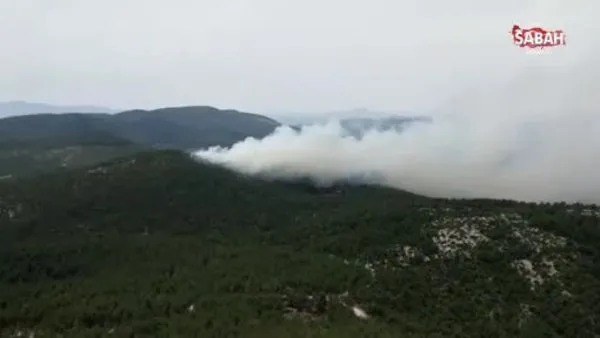 Muğla'da orman yangını! Büyümeye devam ediyor | Video