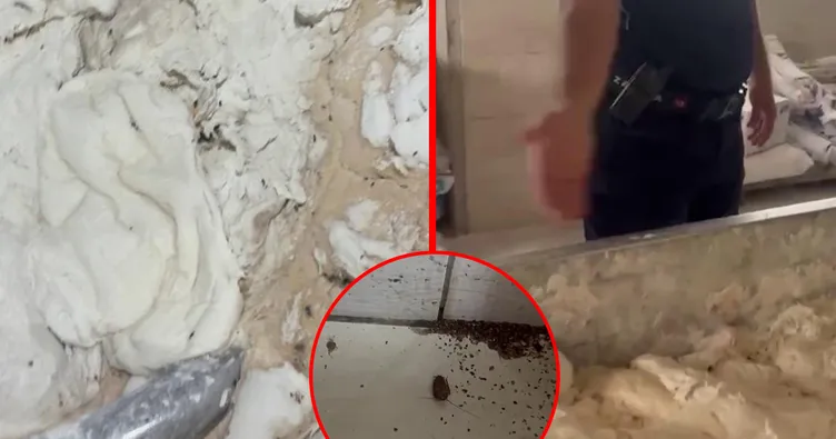 Hatay’da fırında mide bulandıran görüntüler: Hamam böcekleri ve sigara izmaritlerinden geçilmiyor