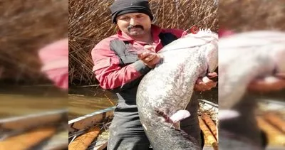 Gölhisar gölünde 35 kg’lık yayın balığı yakalandı | Video