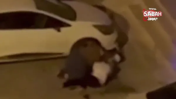 Adana'da evden kaçan pitbull dehşeti! Sahibini ve 2 kişiyi yaraladı | Video
