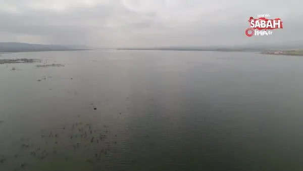 Türkiye’nin yeni kuş cennetinde kuş sayımı yapıldı | Video