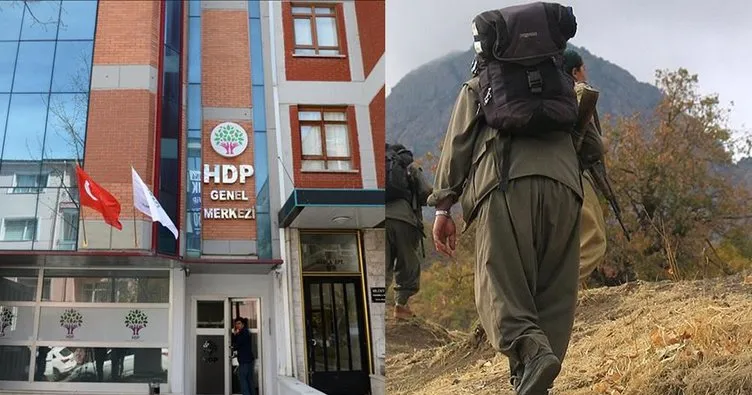 Teslim olan terörist HDP’li vekillerin PKK ile kirli bağını itiraf etti: Kandil’i mesken tutmuşlar!