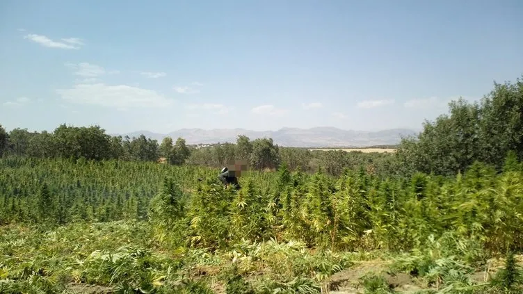 PKK operasyonunda yaklaşık 2 ton esrar ele geçirildi