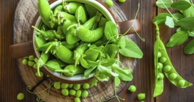 En iyi bitkisel protein kaynakları