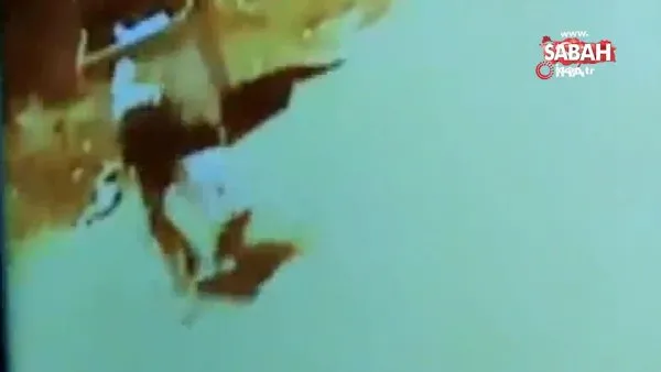 Denizli'de başıboş dolaşan pitbull çocuğun bacağını böyle ısırdı! O anlar kamerada | Video