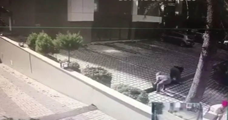 At arabasıyla gelip mazgalları çaldılar