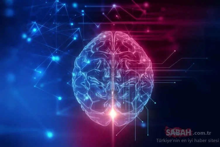 Beyni yenileyip hafızayı güçlendiriyor!