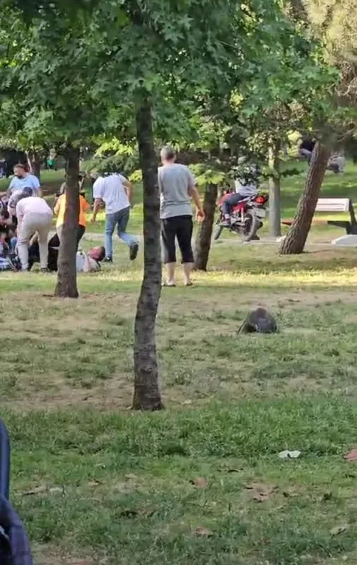 istanbulda-parkta-dehset-once-darbedildi-sonra-vuruldu-1717408112186.jpg