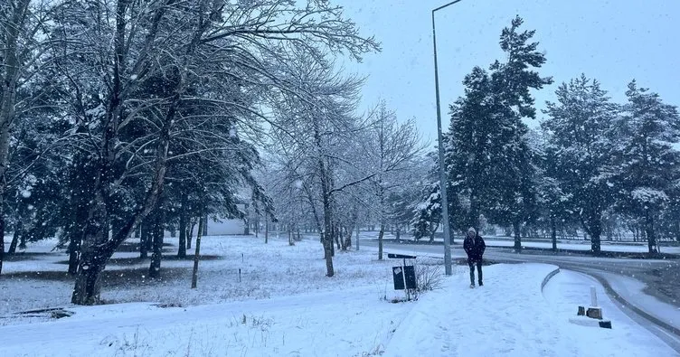 Erzurum bahar ayında yeniden karla kaplandı