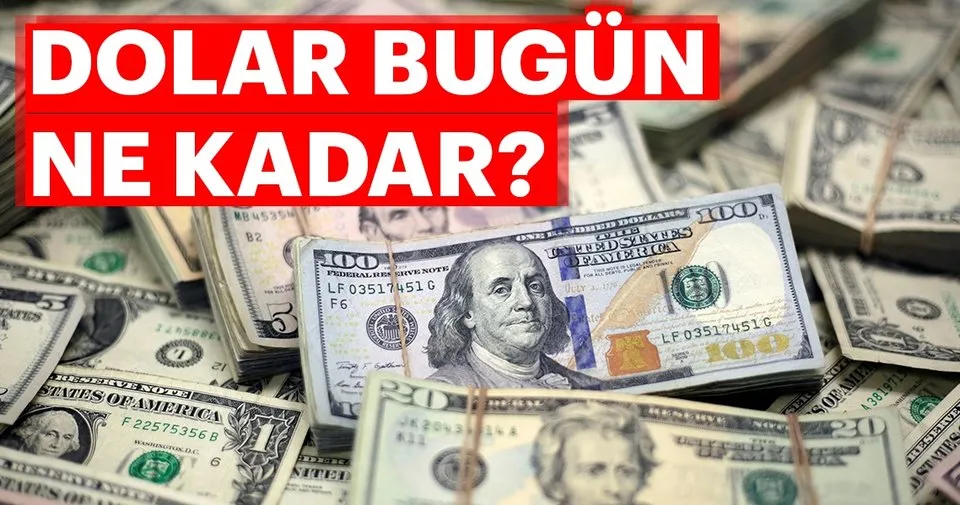 How Much Is The Dollar Today 19 November Dollars And Euro Prices How Much Is The Dollar Today 19 November Dollars And Euro Prices