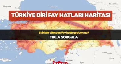 TÜRKİYE DİRİ FAY HATTI HARİTASI 2024 || Diri fay geçen şehirler hangileri, riskli bölgeler neler?